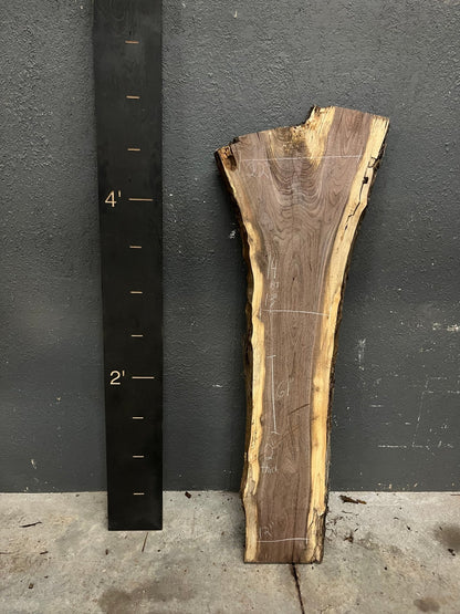 Walnut Live Edge Wood Slab 14BF - Ol Loggin Sawmill