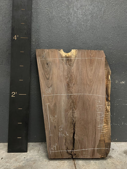 Walnut Live Edge Wood Slab 17BF - Ol Loggin Sawmill