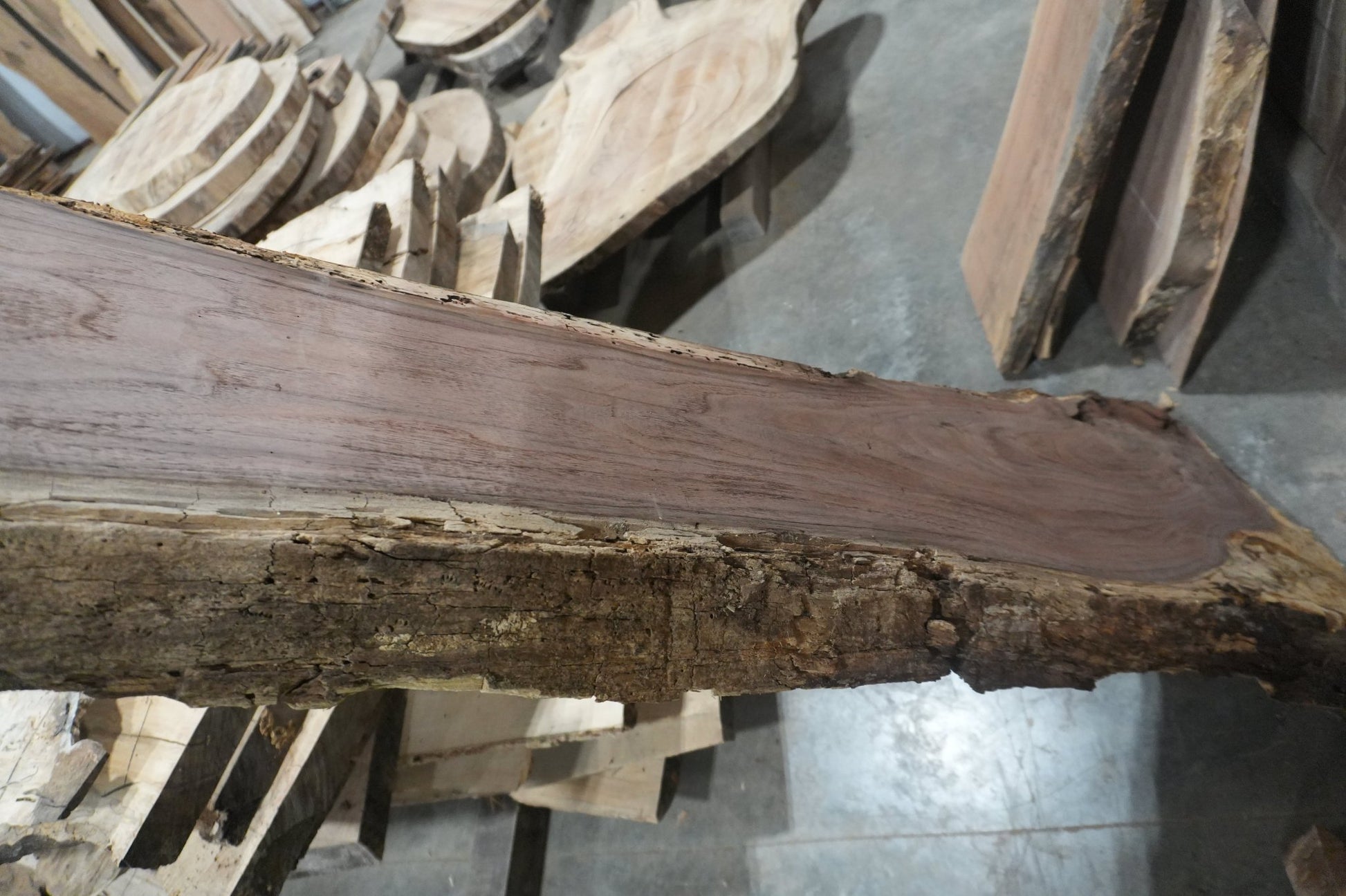 Walnut Slab - Ol Loggin Sawmill