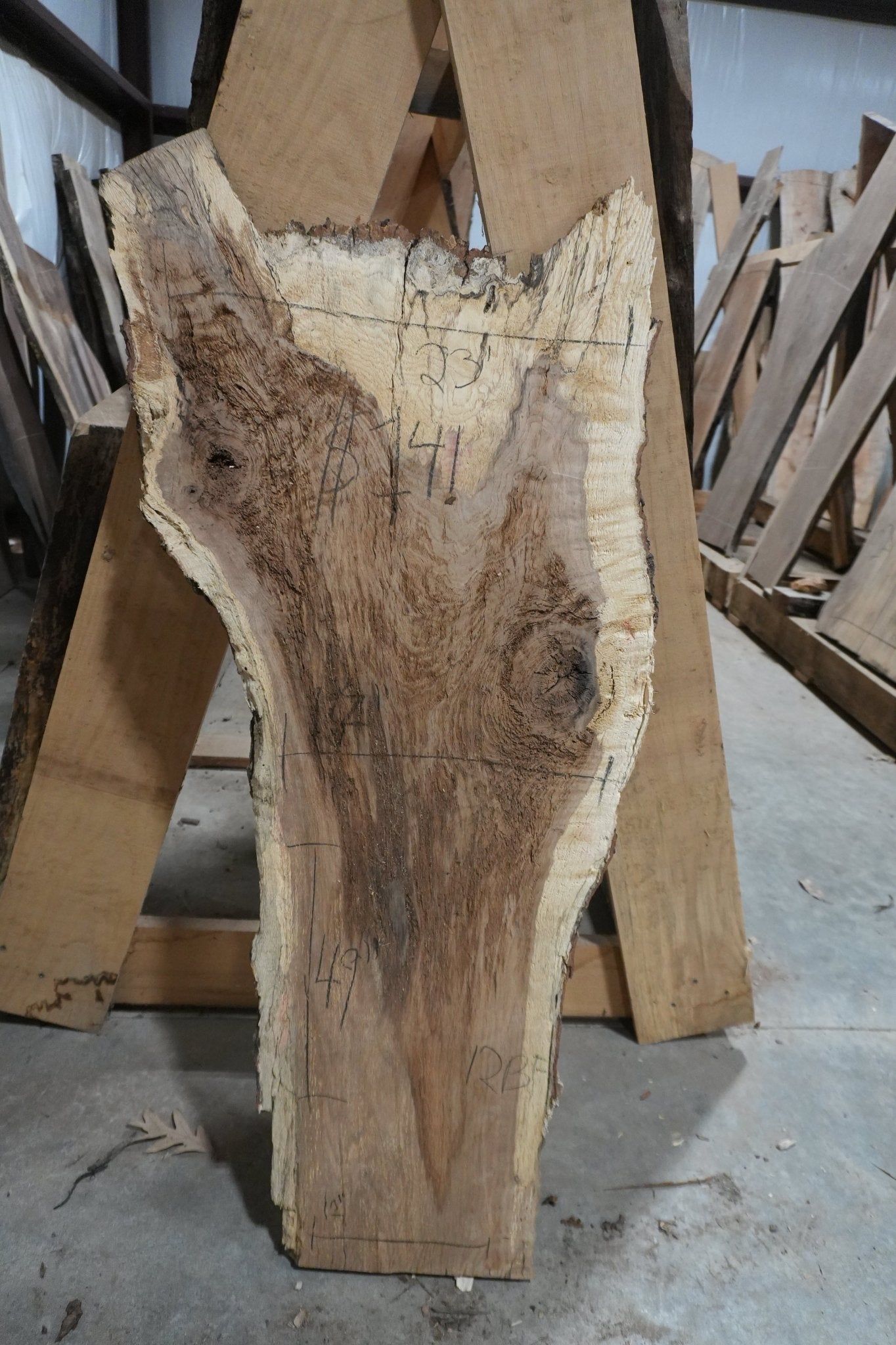 Walnut Slab 12.4 BF - Ol Loggin Sawmill