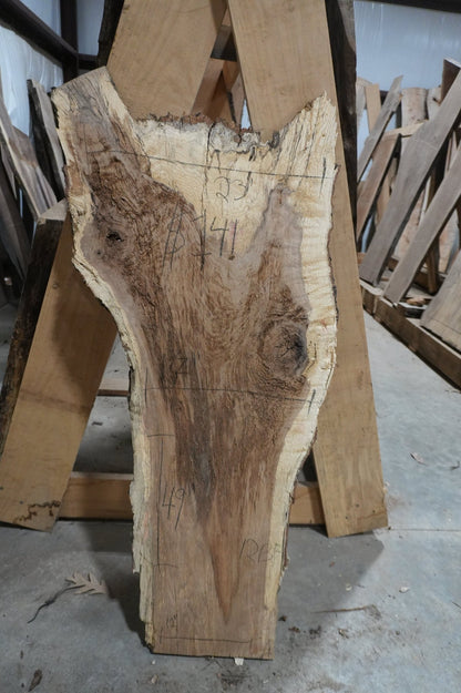 Walnut Slab 12.4 BF - Ol Loggin Sawmill