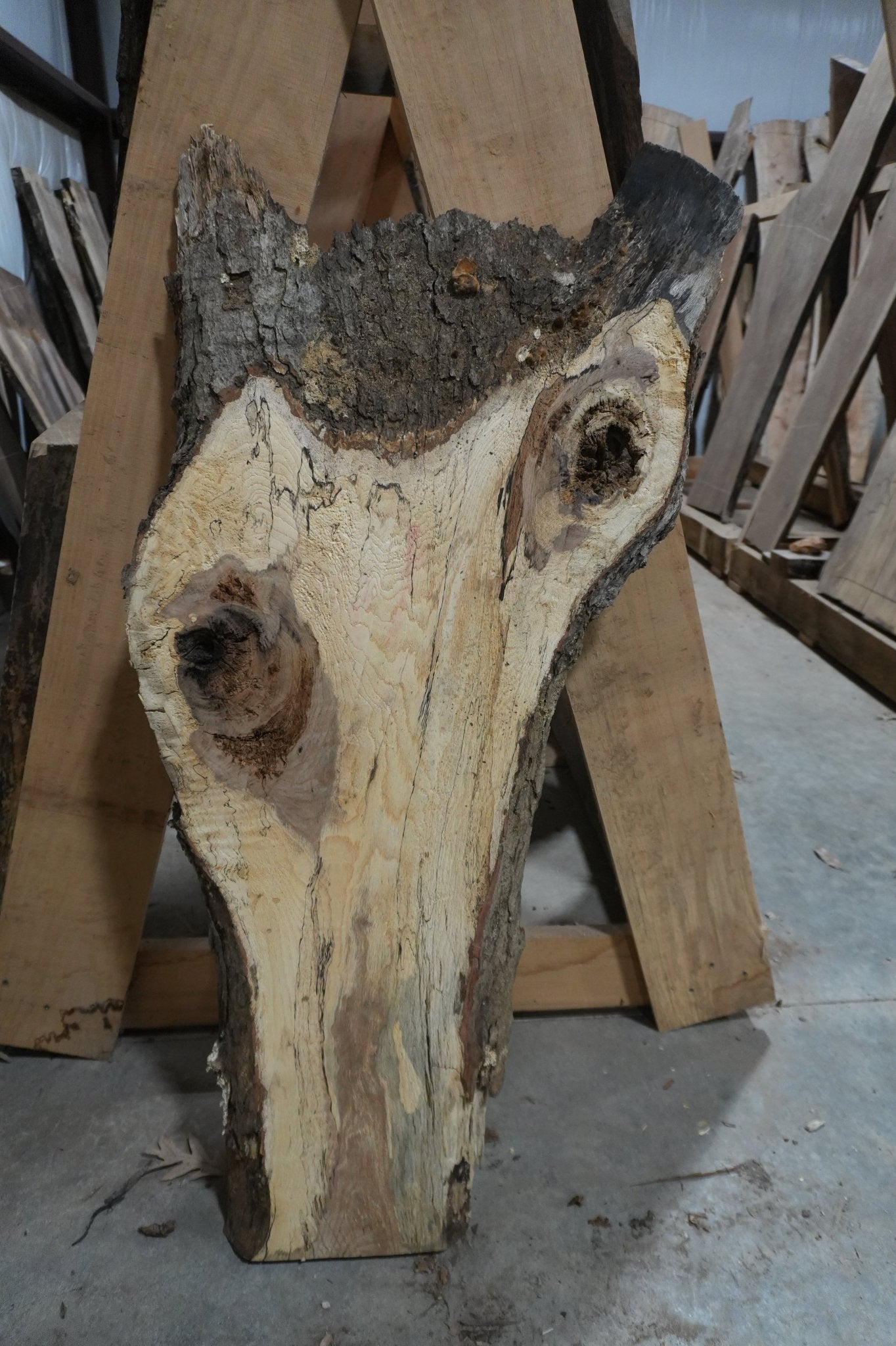 Walnut Slab 12.4 BF - Ol Loggin Sawmill