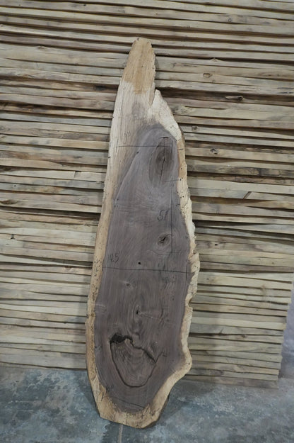 Walnut Slab - Ol Loggin Sawmill