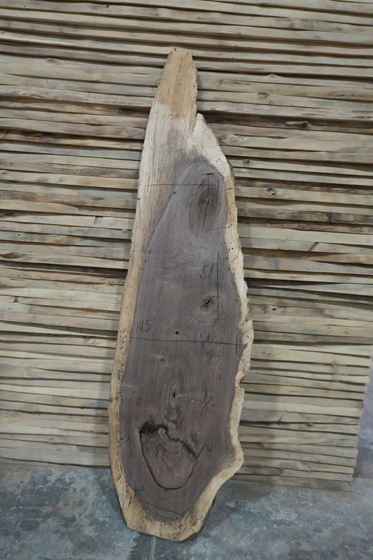 Walnut Slab - Ol Loggin Sawmill