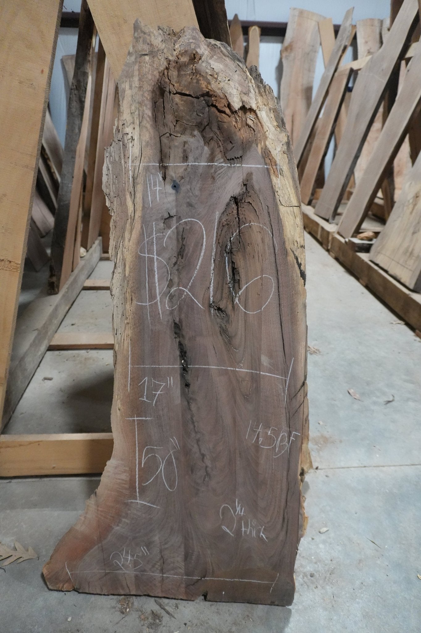 Walnut Slab 14.5BF - Ol Loggin Sawmill