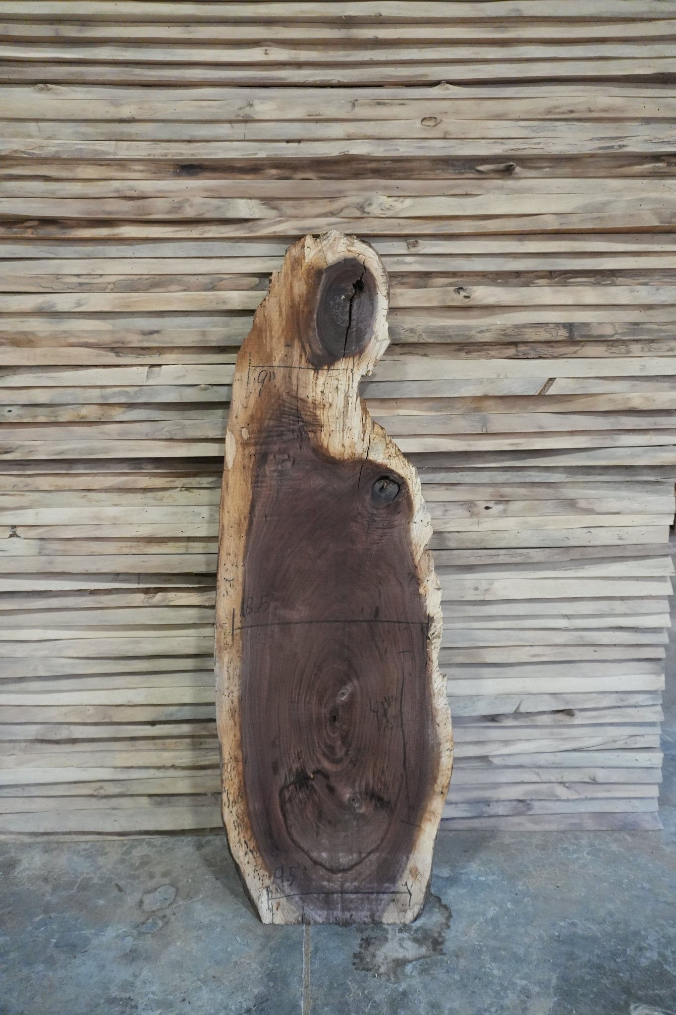 Walnut Slab - Ol Loggin Sawmill