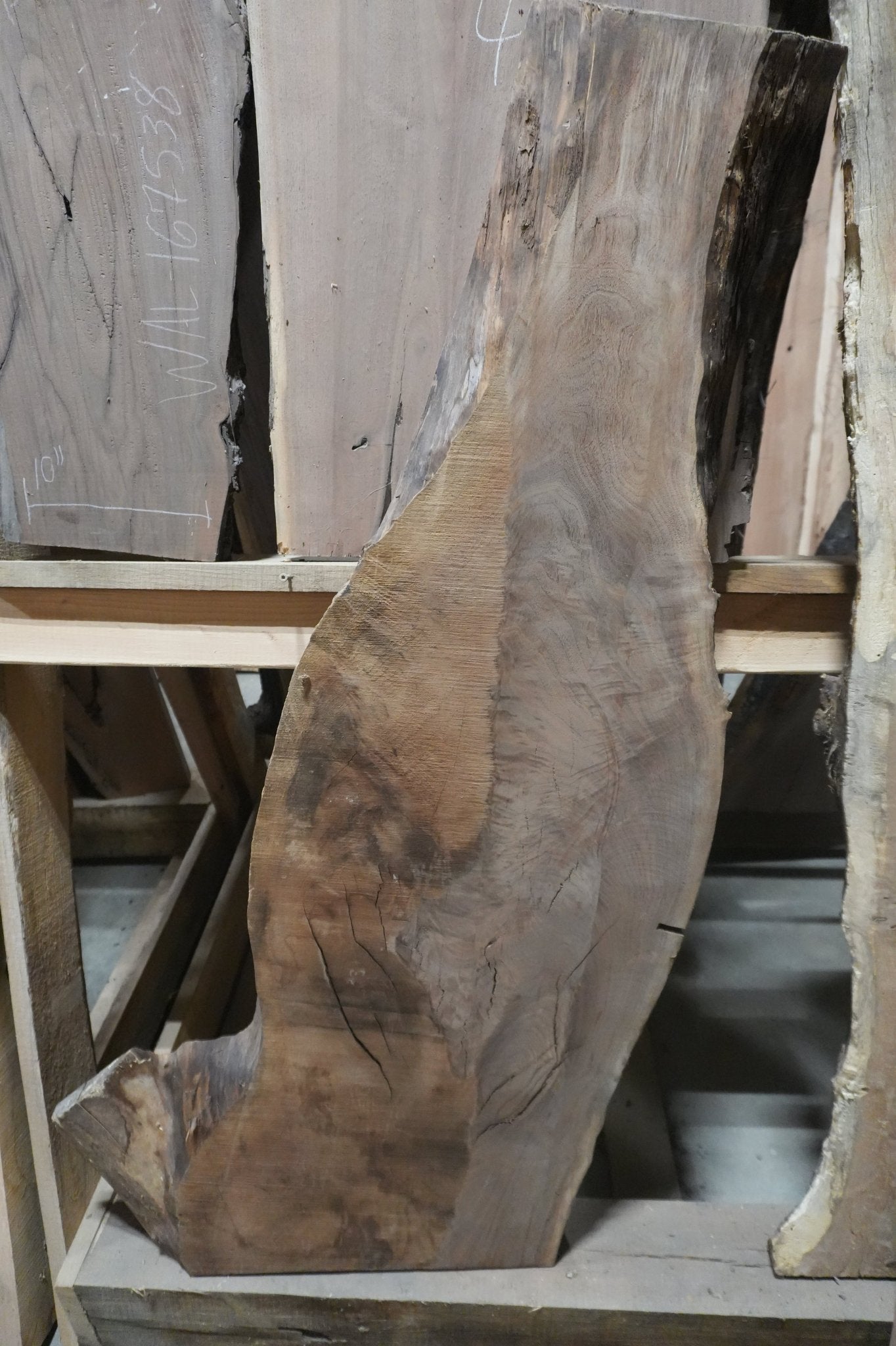 Walnut Slab - Ol Loggin Sawmill