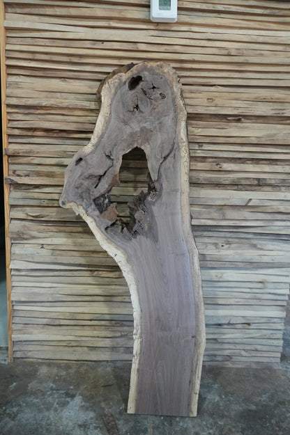 Walnut Slab - Ol Loggin Sawmill