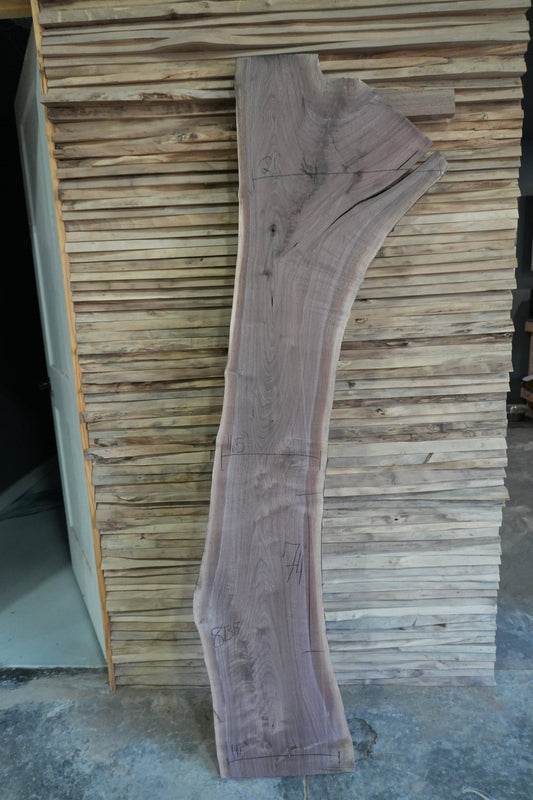 Walnut Slab - Ol Loggin Sawmill