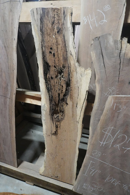 Walnut Slab - Ol Loggin Sawmill