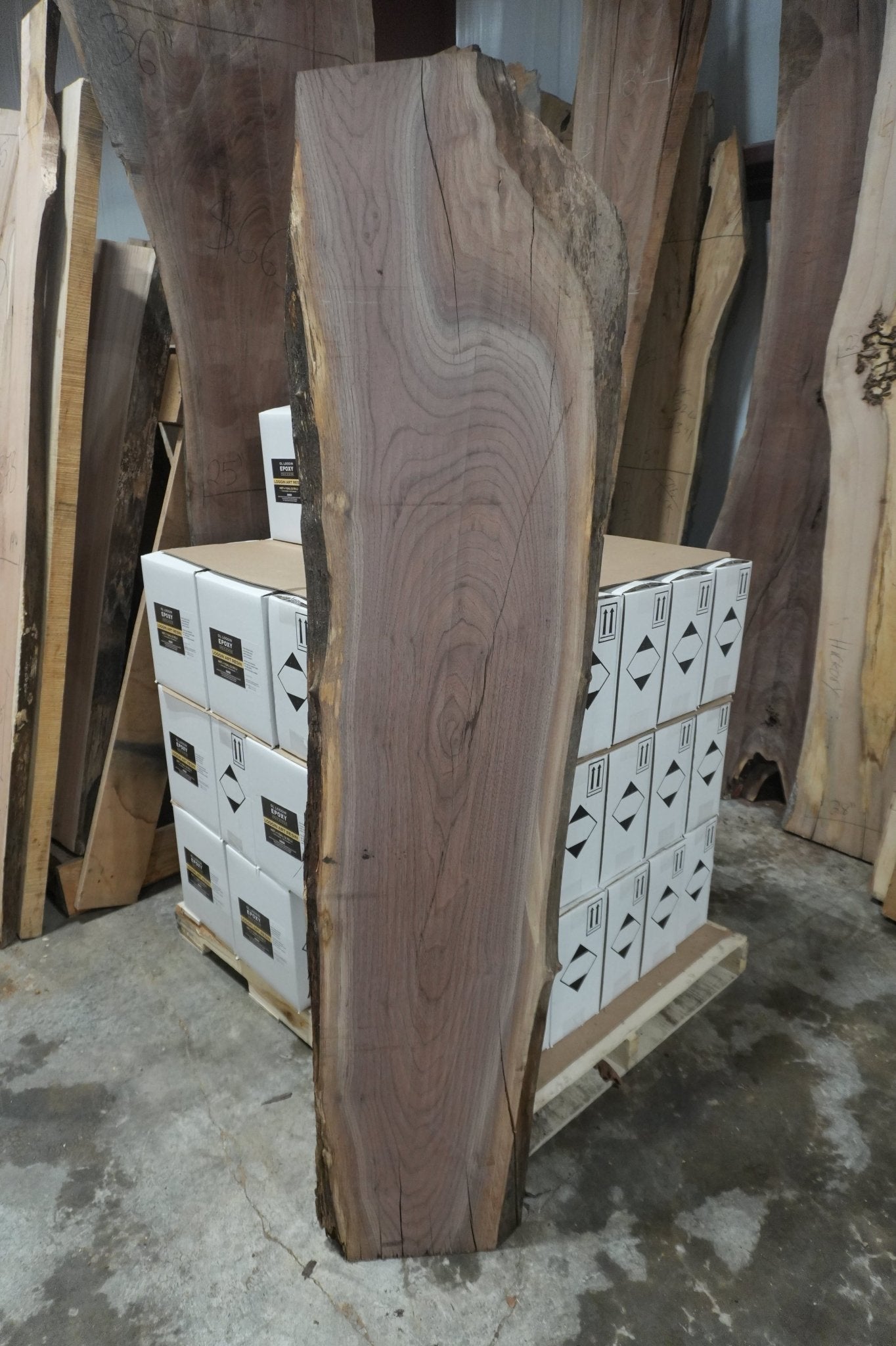 Walnut Slab - Ol Loggin Sawmill