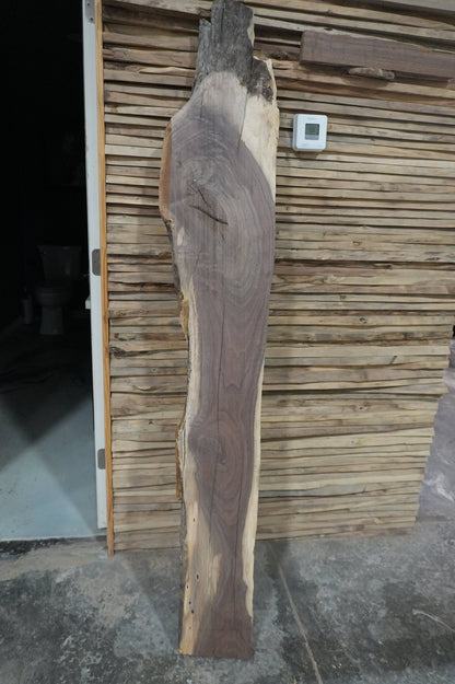 Walnut Slab 4.8BF - Ol Loggin Sawmill