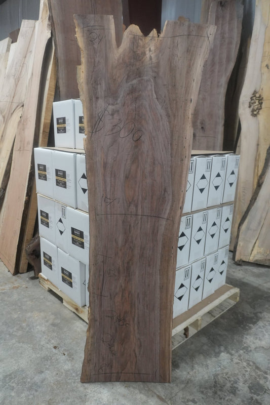 Walnut Slab - Ol Loggin Sawmill