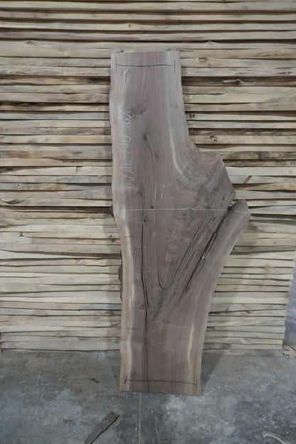 Walnut Slab - Ol Loggin Sawmill