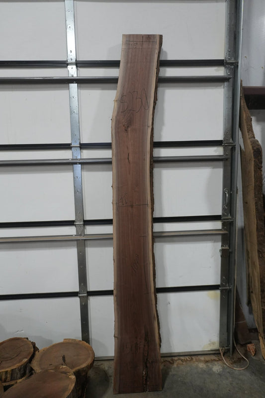 Walnut Slab - Ol Loggin Sawmill