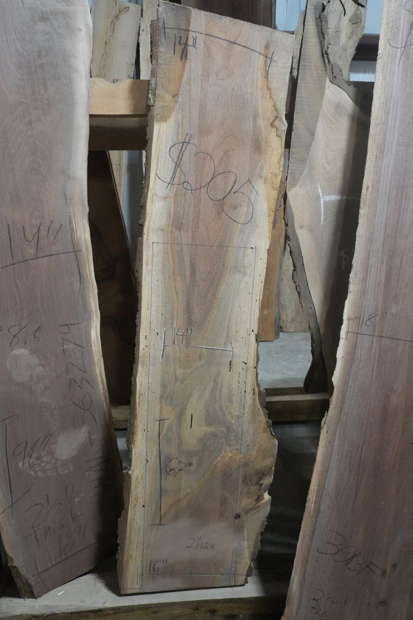 Walnut Slab - Ol Loggin Sawmill
