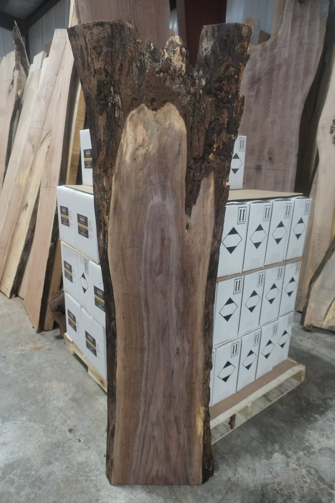 Walnut Slab - Ol Loggin Sawmill