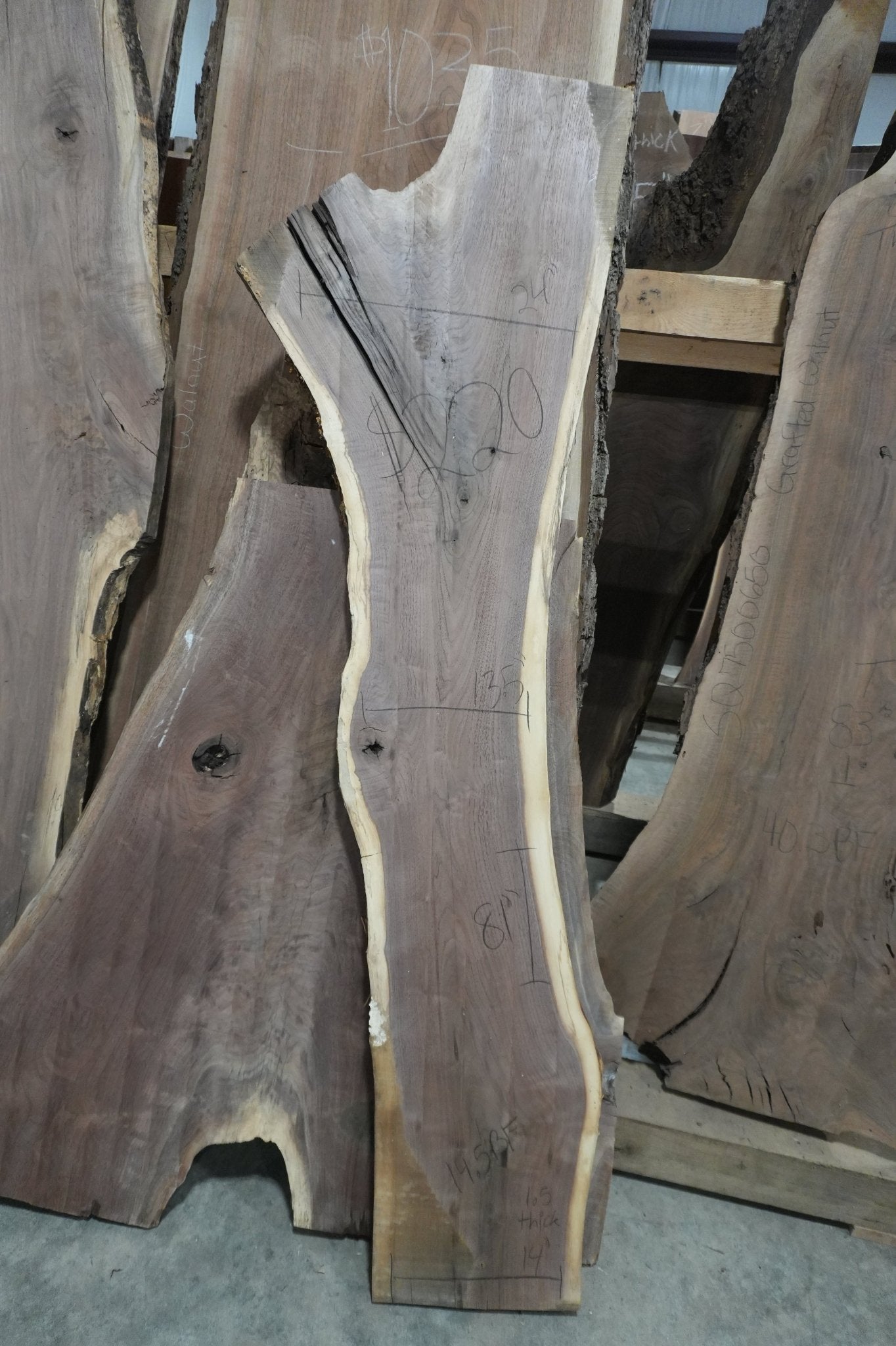 Walnut Slab - Ol Loggin Sawmill