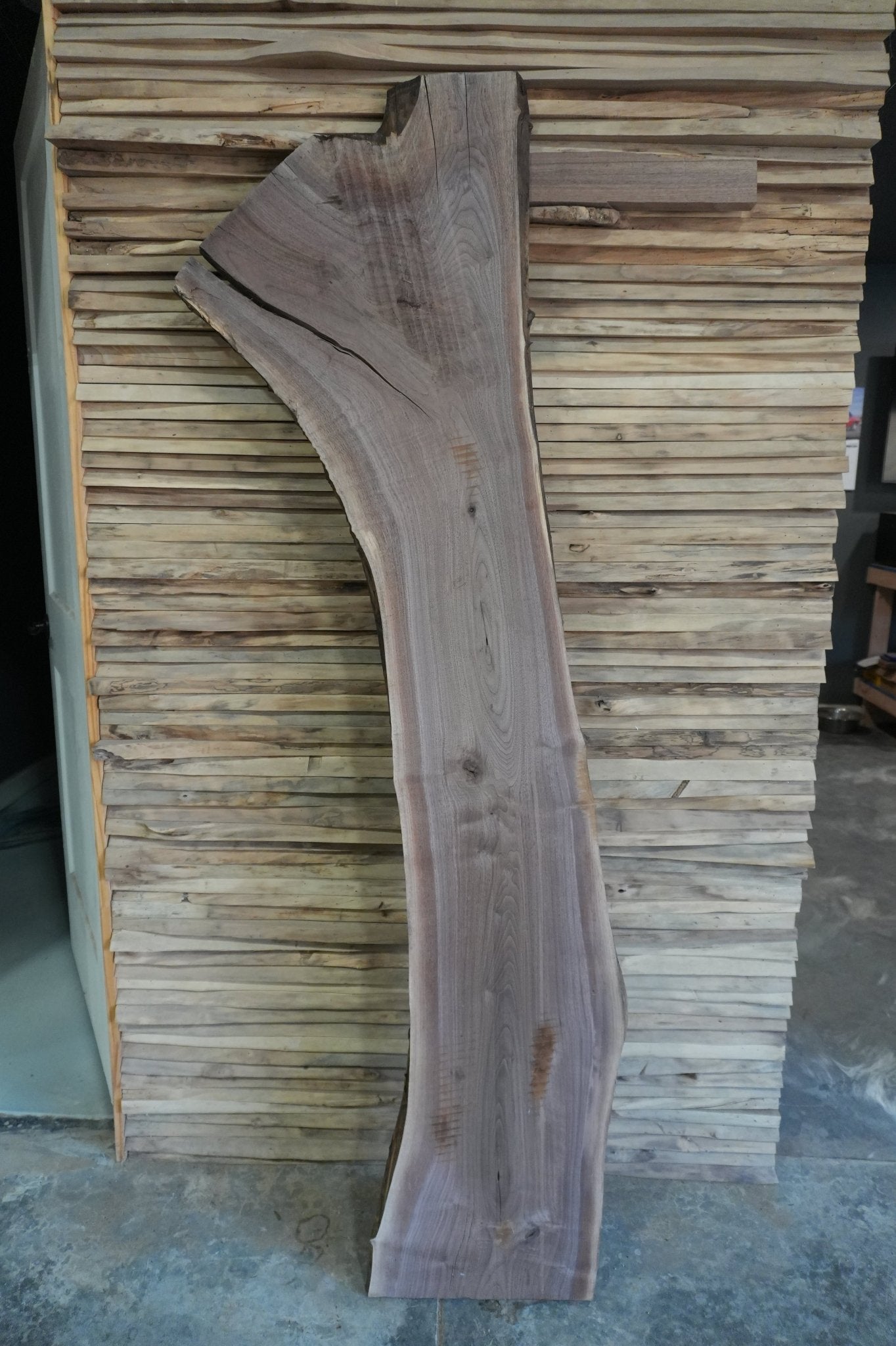Walnut Slab - Ol Loggin Sawmill
