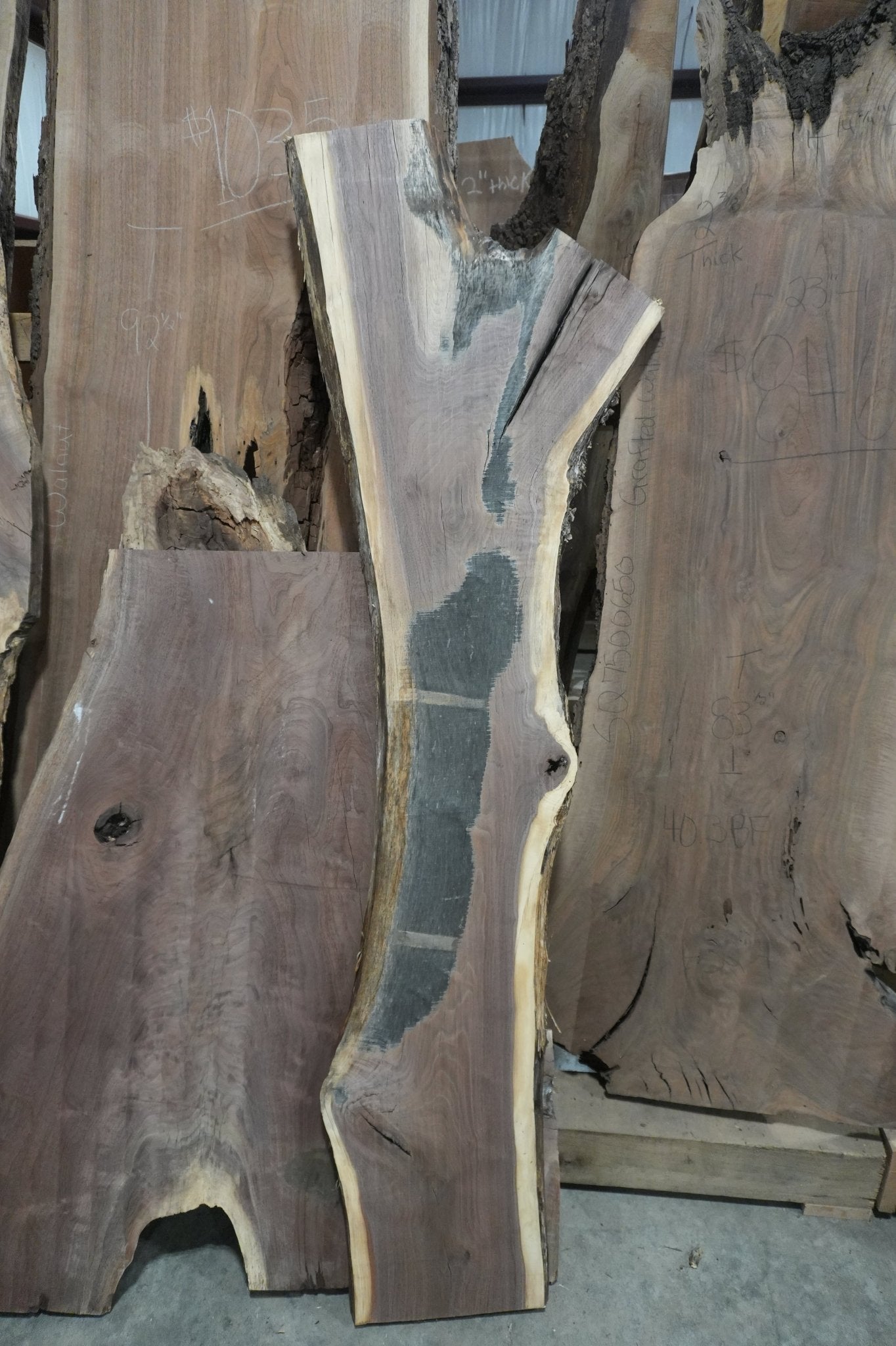 Walnut Slab - Ol Loggin Sawmill