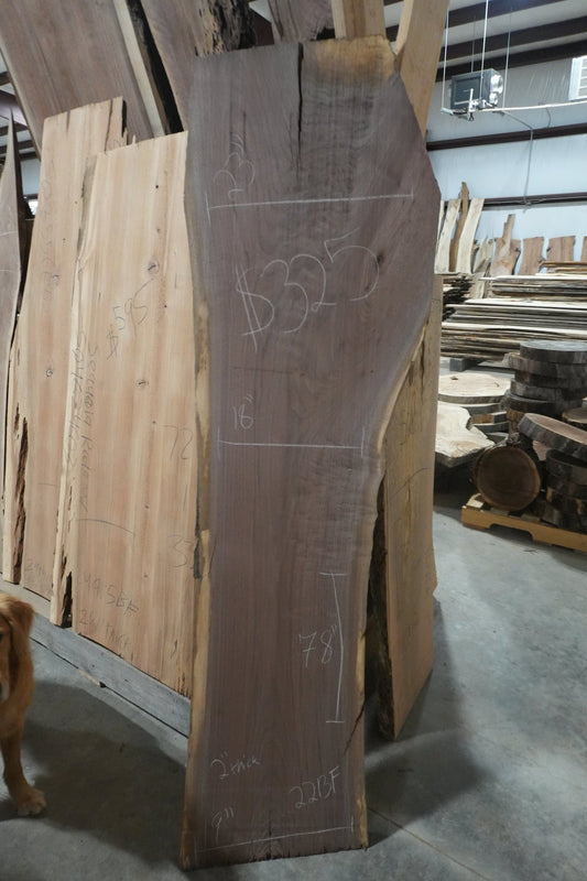 Walnut Slab - Ol Loggin Sawmill