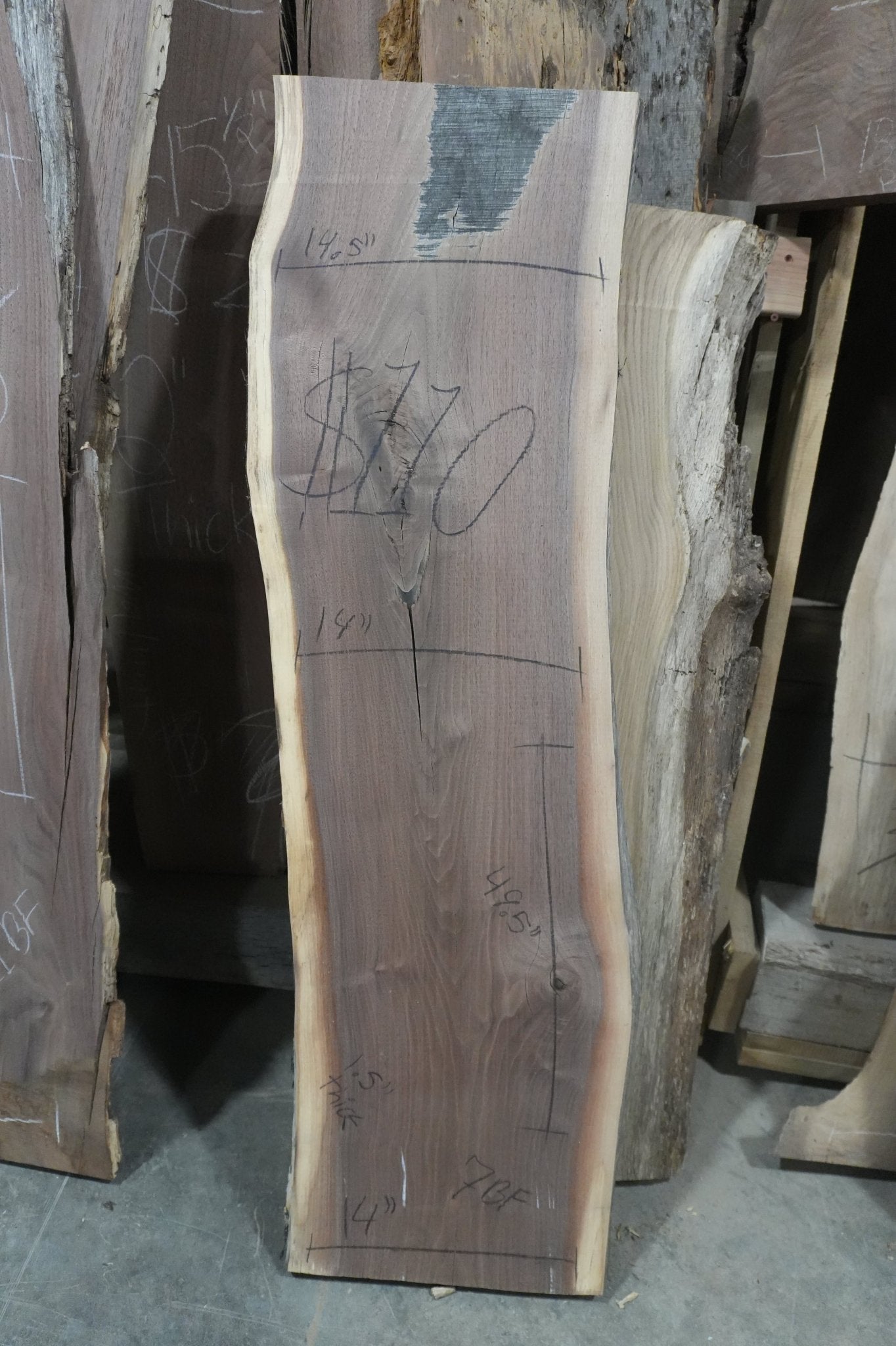 Walnut Slab - Ol Loggin Sawmill