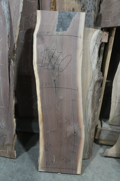 Walnut Slab - Ol Loggin Sawmill