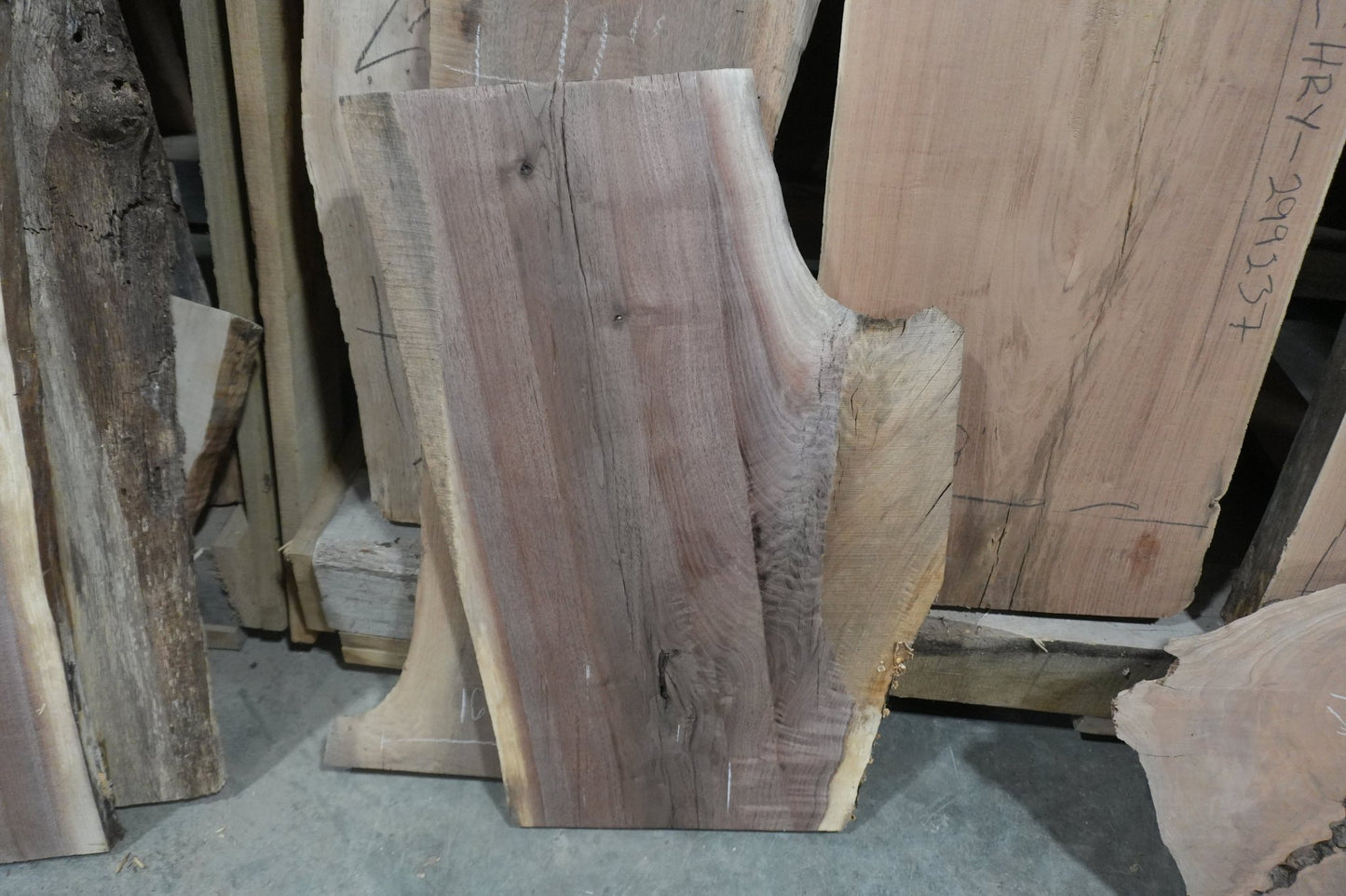 Walnut Slab - Ol Loggin Sawmill