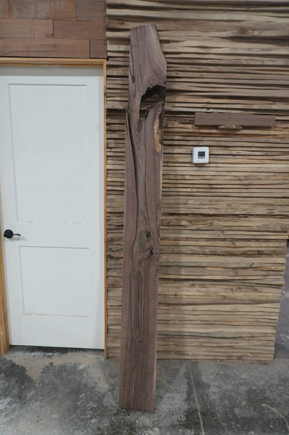 Walnut Slab 7.8 - Ol Loggin Sawmill