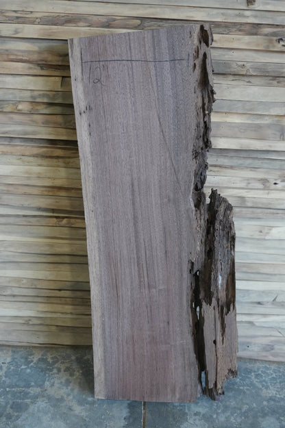 Walnut Slab 7BF - Ol Loggin Sawmill