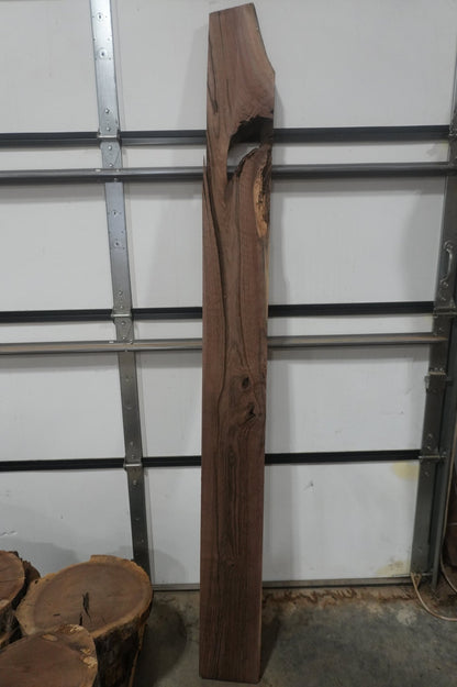 Walnut Slab - Ol Loggin Sawmill