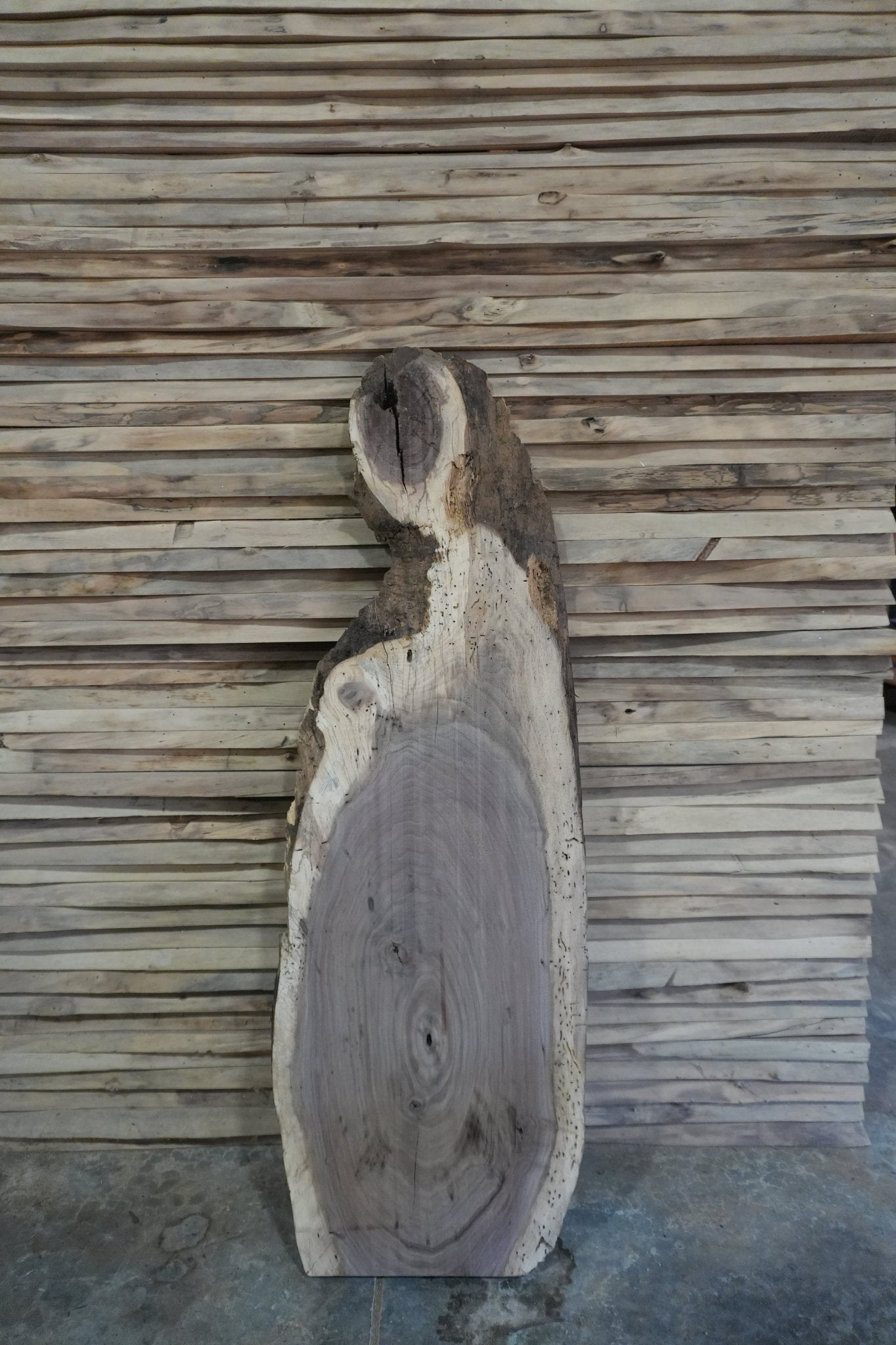 Walnut Slab - Ol Loggin Sawmill