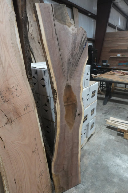 Walnut Slab - Ol Loggin Sawmill
