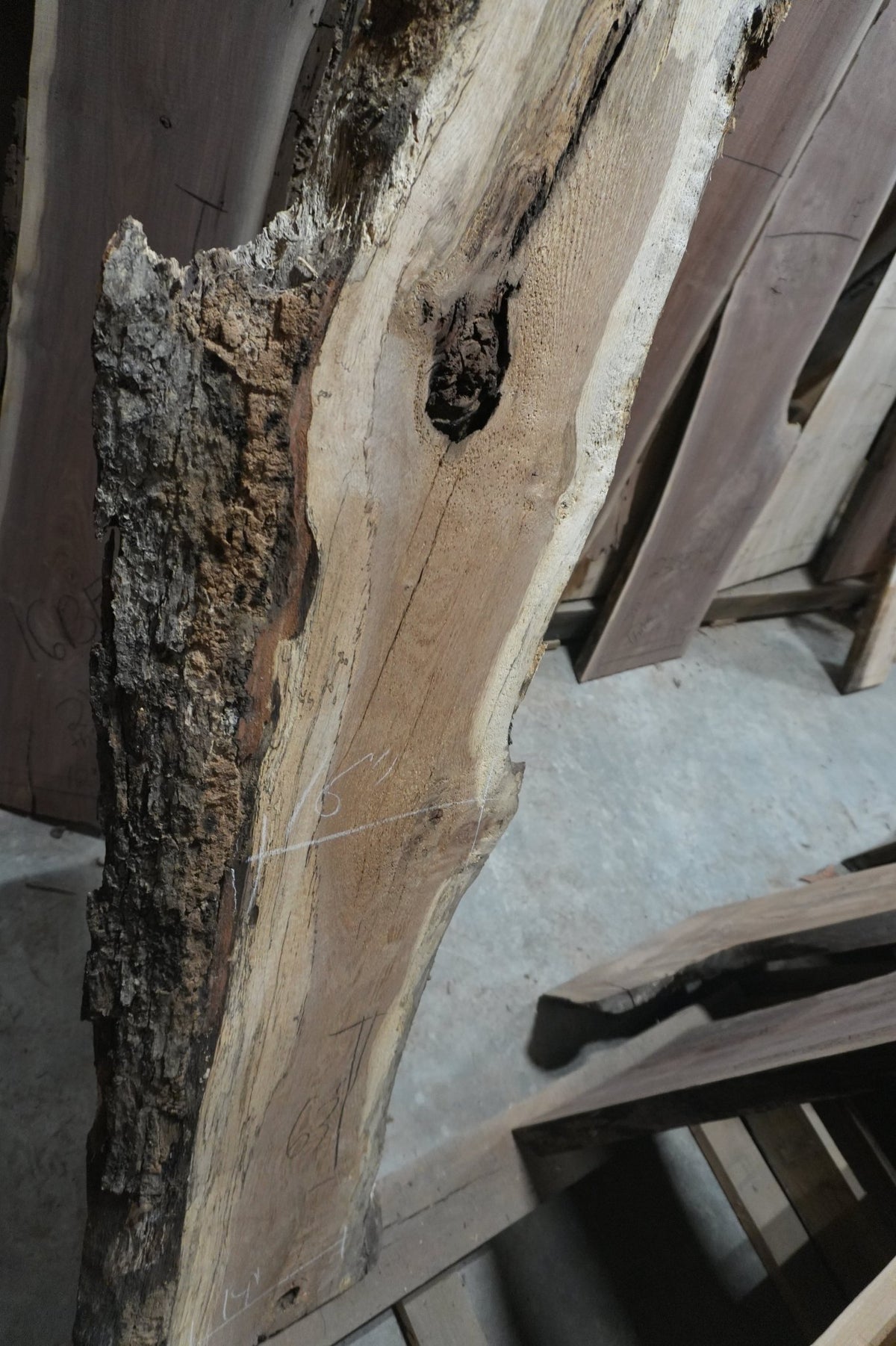Walnut Slab - Ol Loggin Sawmill