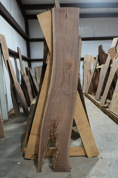 Walnut Slab 9.7 BF - Ol Loggin Sawmill