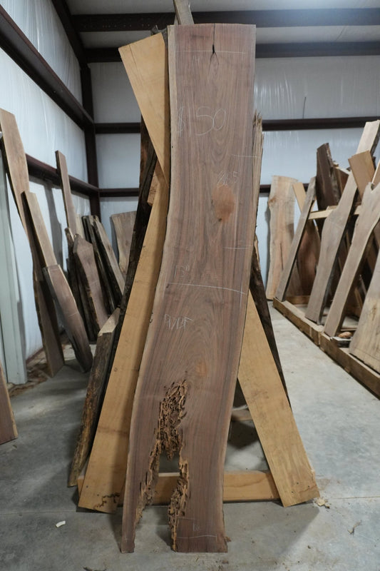 Walnut Slab 9.7 BF - Ol Loggin Sawmill