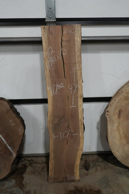Walnut Slab 9.8 BF - Ol Loggin Sawmill