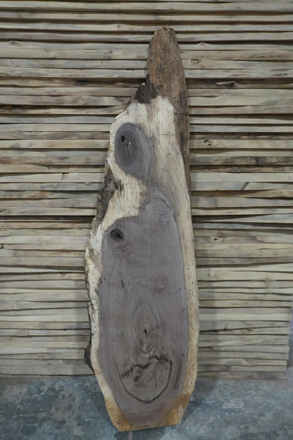Walnut Slab - Ol Loggin Sawmill