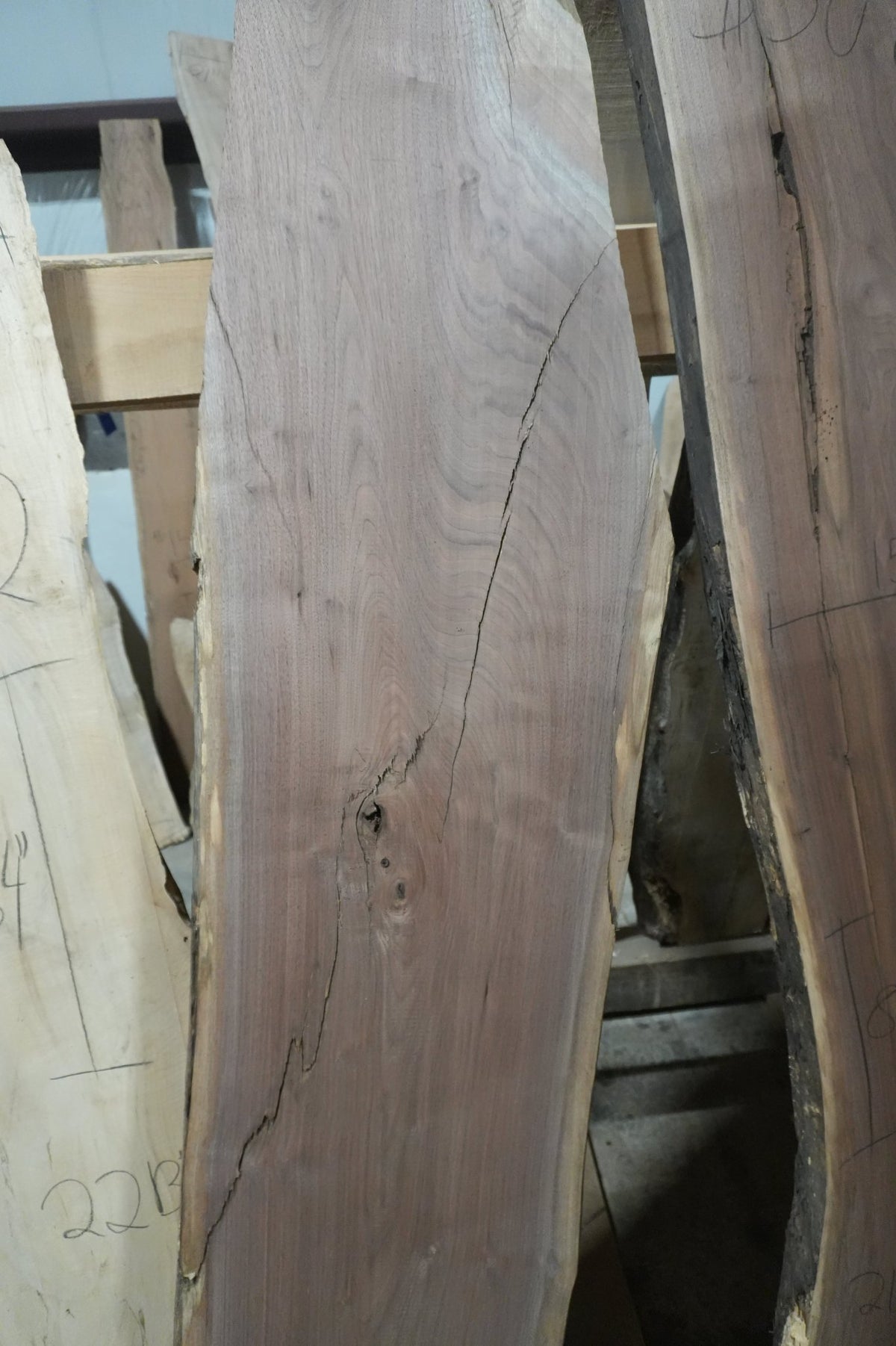 Walnut Slab - Ol Loggin Sawmill
