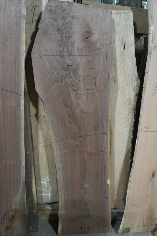 Walnut Slab - Ol Loggin Sawmill