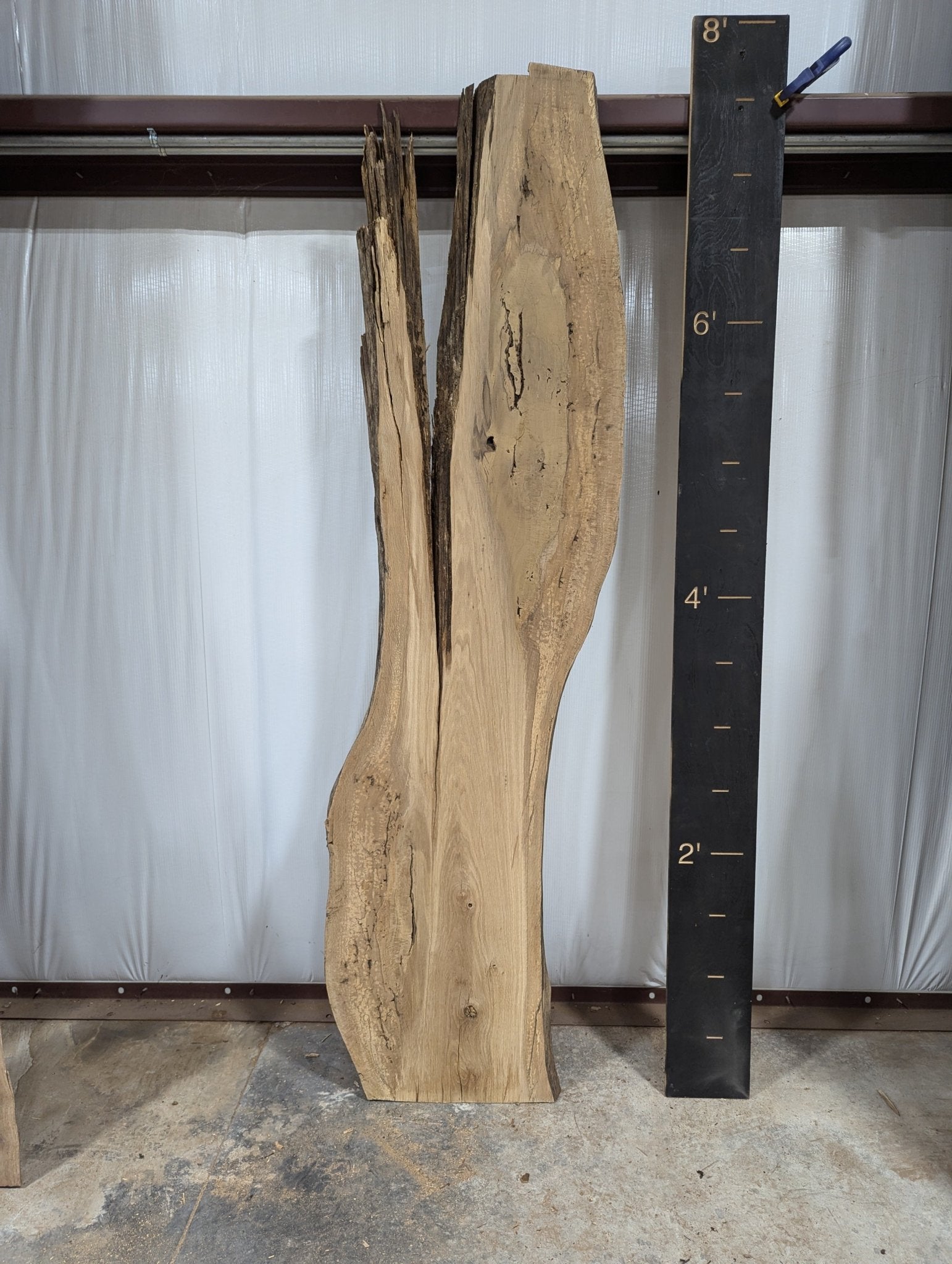 White Oak Live Edge Wood Slab - 36 BF - Ol Loggin Sawmill