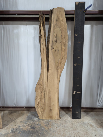 White Oak Live Edge Wood Slab - 36 BF - Ol Loggin Sawmill