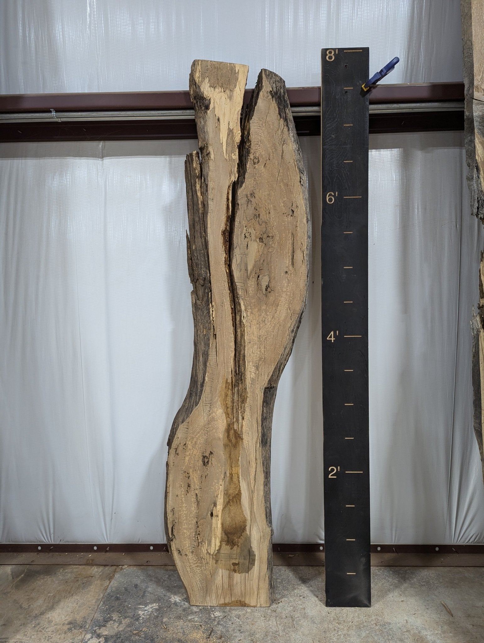 White Oak Live Edge Wood Slab - 36 BF - Ol Loggin Sawmill