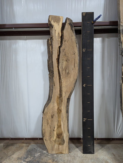 White Oak Live Edge Wood Slab - 36 BF - Ol Loggin Sawmill