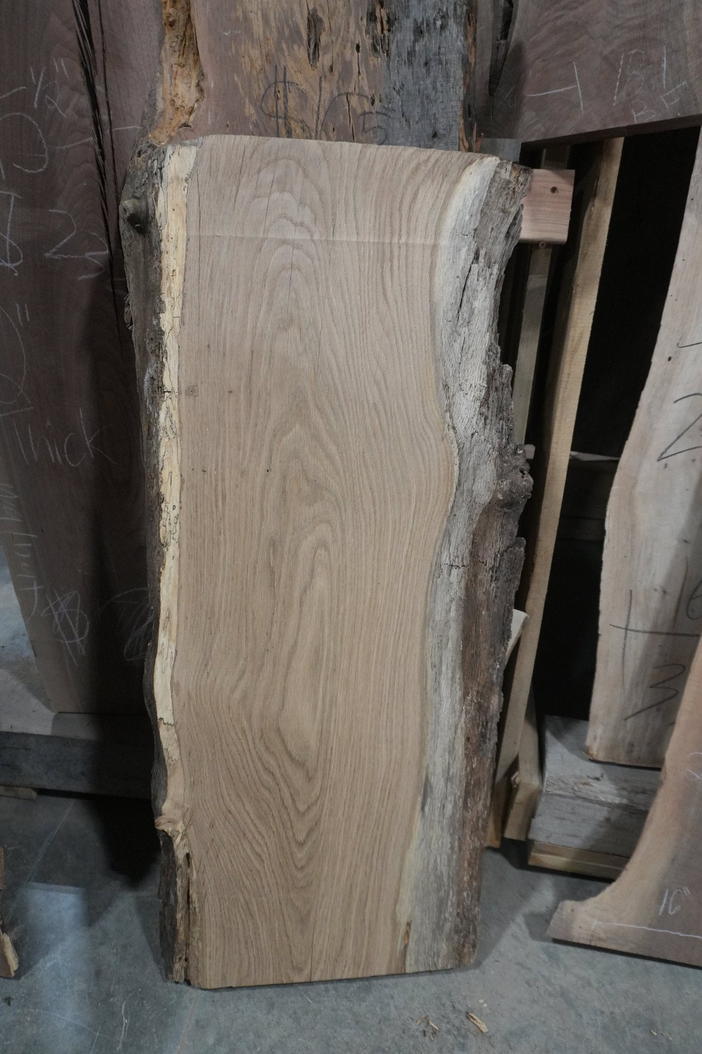 White Oak Slab - Ol Loggin Sawmill